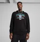 Худи мужское Puma Sports Legacy Graphic French Terry Black 629629-01