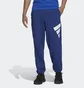 Штаны мужские Adidas Sportswear Future Icons Logo Graphic Pants Blue H39799