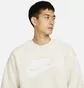 Свитшот мужской Nike Sportswear Stele Essentials+ Beige DD5017-072