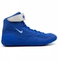 Кросівки унісекс Nike Inflict Blue 325256-401