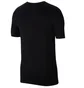Футболка мужская Nike Dri-Fit Park 20 M Black CW6952-010