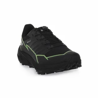 Кроссовки мужские Salomon Thundercross Gtx Black 472790
