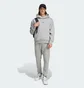 Спортивный костюм мужской Adidas All Szn Fleece Grey IY4123__IY4148