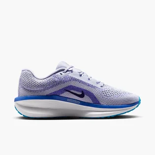 Кроссовки мужские Nike Air Winflo 11 Light Blue FJ9509-006