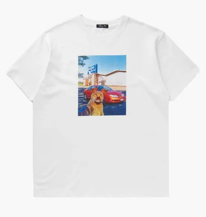 Футболка чоловіча Dime Selfie Tee White DIMESP2558WHT