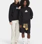 Худі унісекс Nike Sb Black FN2498-010