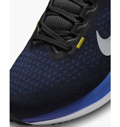 Кроссовки мужские Nike Winflo 10 Blue DV4022-005