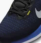 Кроссовки мужские Nike Winflo 10 Blue DV4022-005