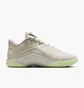 Кроссовки мужские Nike Lebron Xxii Beige FZ1094-002