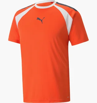 Футболка чоловіча Puma Teamliga Multisport T-Shirt Orange 658084-13