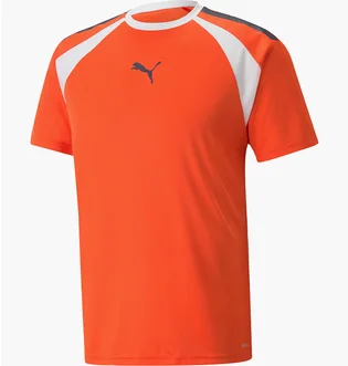 Футболка мужская Puma Teamliga Multisport T-Shirt Orange 658084-13