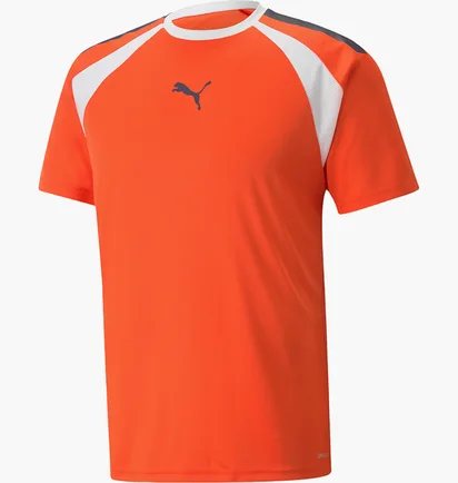Футболка мужская Puma Teamliga Multisport T-Shirt Orange 658084-13