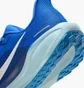 Кросівки чоловічі Nike Air Zoom Pegasus Blue HQ1717-400