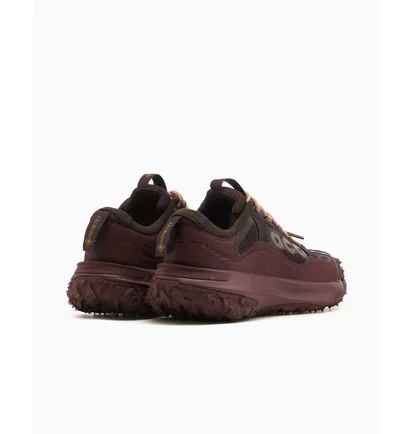 Кроссовки мужские Nike Acg Mountain Fly 2 Low Brown HF6245-200