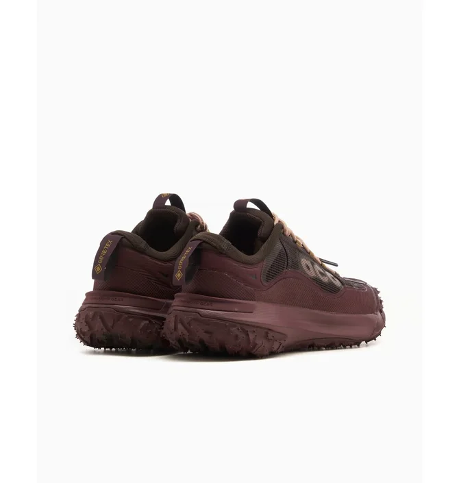 ᐉ Кросівки чоловічі Nike Acg Mountain Fly 2 Low Brown HF6245-200