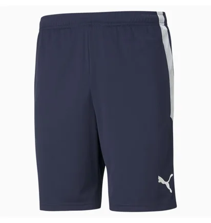 Шорты мужские Puma Teamliga Training Shorts Blue 657249-06