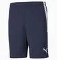 Шорты мужские Puma Teamliga Training Shorts Blue 657249-06