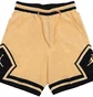 Шорты мужские Air Jordan Dri-Fit Sport Woven Diamond Shorts Beige/Black FB7580-734