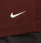 Лонгслів чоловічий Nike Dri-Fit Acg Goat Rocks Long-Sleeve Top Brown DO9269-217