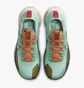 Кросівки жіночі Nike Pegasus Trail 4 Gore-Tex Turquoise DJ7929-301