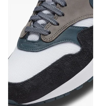 Кросівки чоловічі Nike Air Max 1 Premium Shoes Brown FJ0698-100
