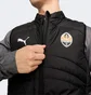 Жилетка чоловіча Puma Fcsd Gilet Black 777860-06