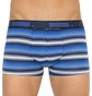 Трусы мужские Puma Worldhood Stripe Trunk Blue/Grey (2 шт) 501004001-010