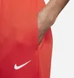 Штаны женские Nike Sportswear Essential Red BV4089-673