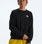 Свитшот мужской The North Face Evolution Crew Black NF0A86WAKY4