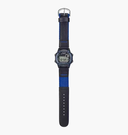 Часы унисекс Casio Timeless Collection W-220HF-2A