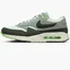 Кросівки чоловічі Nike Air Max 1 86 Og G Golf Shoes Turquoise DV1403-002