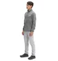Кофта чоловіча The North Face Polar Canyonlands Grey NF0A5G9VDYY