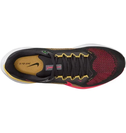 Кроссовки мужские Nike Pegasus 41 MenS Road Running Shoes Black FD2722-016