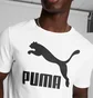 Футболка чоловіча Puma Classics Logo Tee White 533253-02
