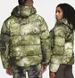 Пуховик унісекс Nike Acg Lunar Lake Puffer Therma-Fit Adv Loose Hooded Jacket Green FB8121-386
