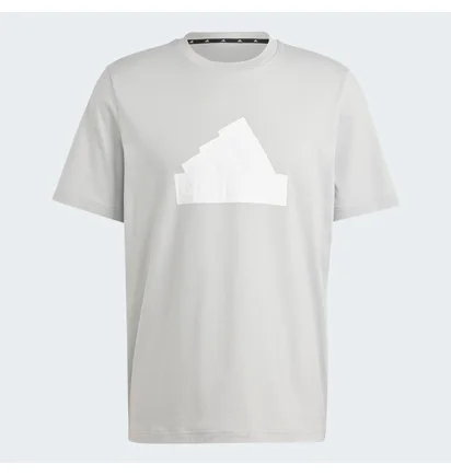 Футболка мужская Adidas Future Icons Badge Of Sport T-Shirt Grey IY4283