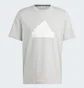 Футболка мужская Adidas Future Icons Badge Of Sport T-Shirt Grey IY4283