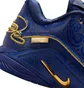 Кроссовки мужские Nike Lebron Xxii Blue HV5145-400