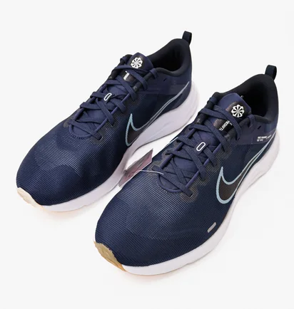 Кроссовки мужские Nike Downshifter 12 Blue Dd9293-400