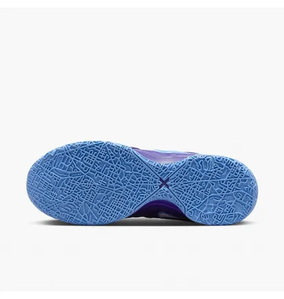 Кросівки унісекс Nike Zoom Lebron Nxxt Gen Ampd Violet FJ1566-500
