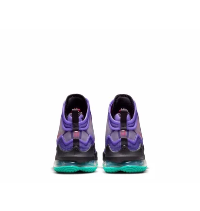 Кроссовки унисекс Nike Lebron Xix Dj Bron Violet Cz0203-500