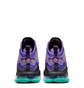 Кроссовки унисекс Nike Lebron Xix Dj Bron Violet Cz0203-500