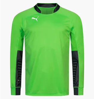 Лонгслив мужской Puma Padded Long-Sleeved Goalkeeper Green 701918-43
