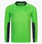 Лонгслив мужской Puma Padded Long-Sleeved Goalkeeper Green 701918-43