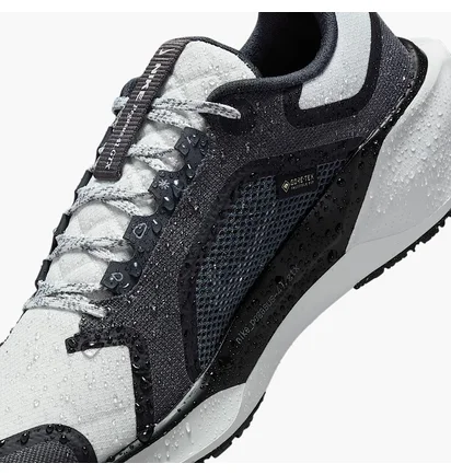 Кроссовки женские Nike Pegasus Gore-Tex Black/Grey FQ1357-002