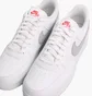 Кросівки чоловічі Nike Air Force 1 Low Se Mini Swoosh Casual Shoes White Fd0666-100