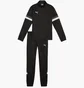 Спортивный костюм детский Puma Teamrise Black 658655-03