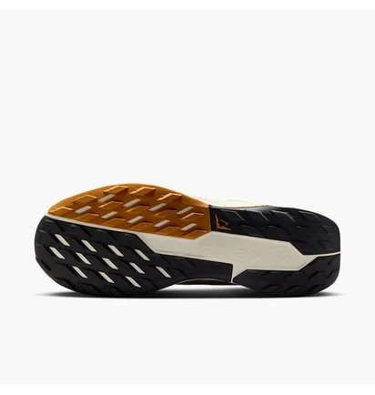 Кроссовки мужские Nike Pegasus Trail 5 Gore-Tex Black FQ0908-007
