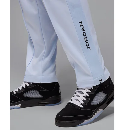 Штаны мужские Air Jordan Essentials Tracksuit Bottoms Light Blue HF9341-407