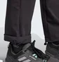 Штаны женские Adidas Terrex Xperior Pants Black IN9133
